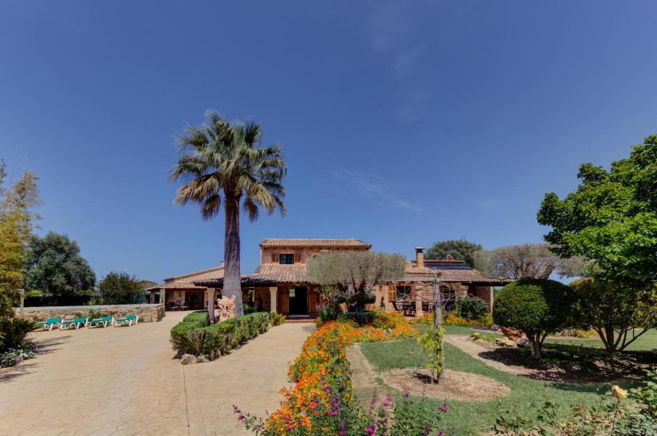 Ses Contesas Alcudia (Mallorca)